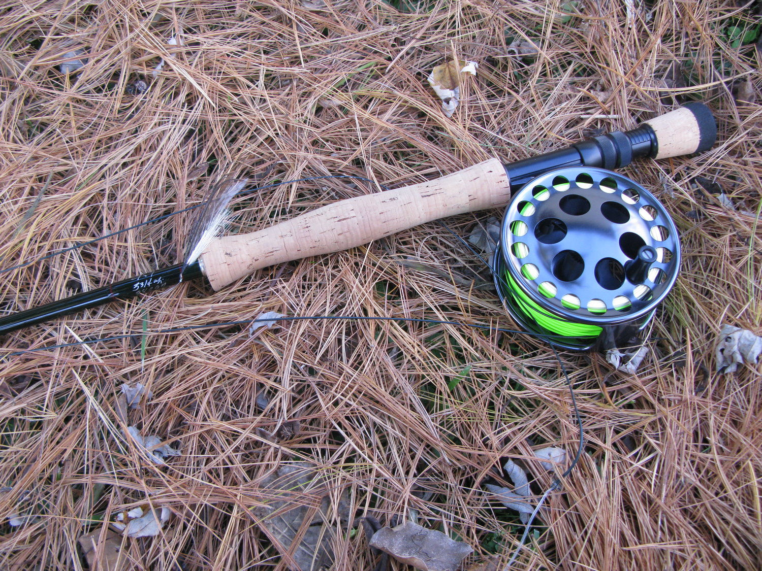 A stout fly rod and large streamer fly: the tools required to land large, migrating brown trout.